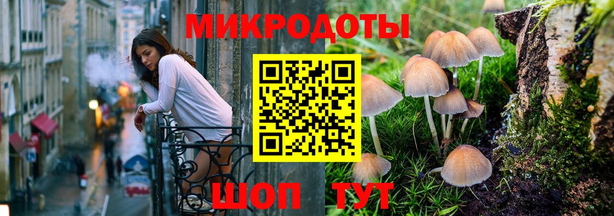 Галлюциногенные грибы GOLDEN TEACHER  Вход с VPN  Грязи 