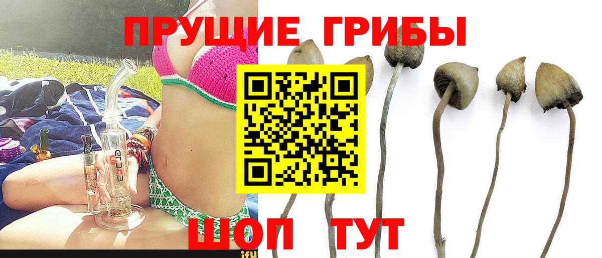 Псилоцибиновые грибы ЛСД Грязи